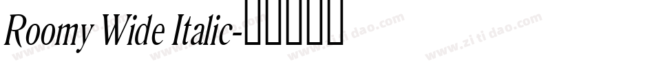 Roomy Wide Italic字体转换